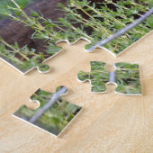 Tuxedo Kitten in de tuin van de puzzel (Zijkant)
