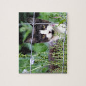 Tuxedo Kitten in de tuin van de puzzel (Verticaal)