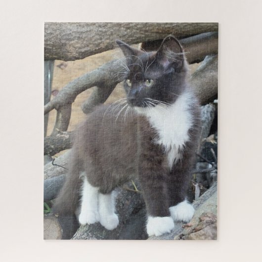 Tuxedo Kitten Legpuzzel (Verticaal)