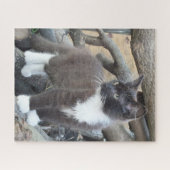 Tuxedo Kitten Legpuzzel (Horizontaal)