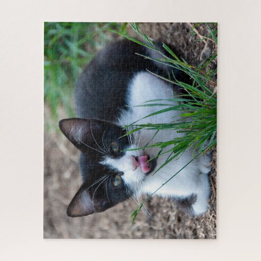 tuxedo kitten legpuzzel (Verticaal)