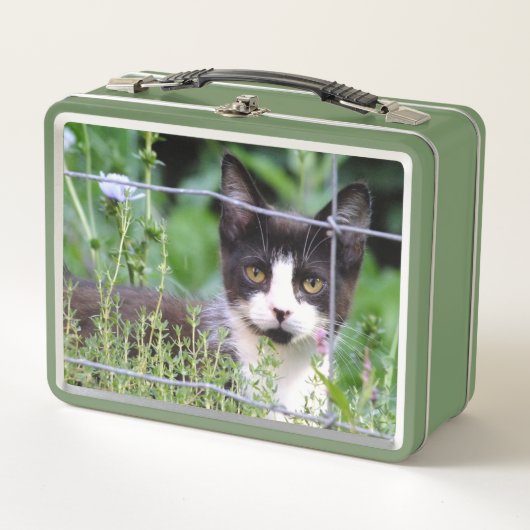 Tuxedo Kitten Lunchbox (Voorkant)