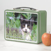 Tuxedo Kitten Lunchbox (In situ)
