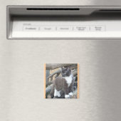 Tuxedo Kitten Magneet (Insitu (Vaatwasser))