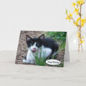 Tuxedo kitten met tong uit de mond kaart (Gele Bloem)