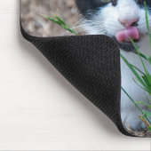 Tuxedo kitten met tong uit de mond muismat (Hoek)