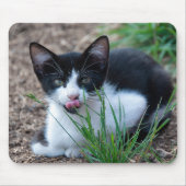 Tuxedo kitten met tong uit de mond muismat (Voorkant)