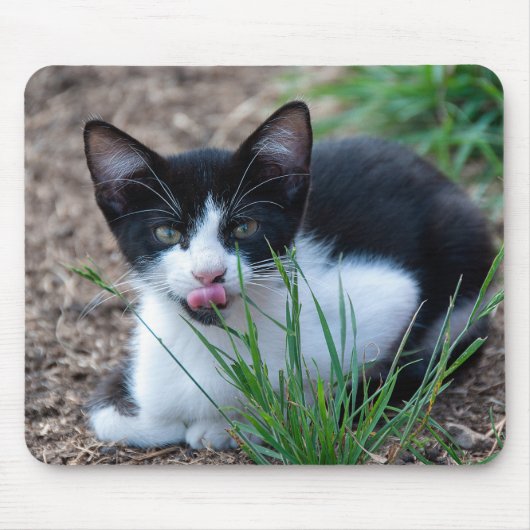 Tuxedo kitten met tong uit de mond muismat (Voorkant)