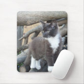 Tuxedo Kitten Muismat (Met muis)