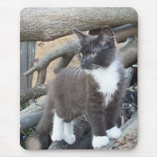 Tuxedo Kitten Muismat (Voorkant)