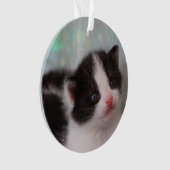 Tuxedo kitten ornament (voorkant)