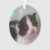 Tuxedo kitten ornament (voorkant)