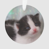 Tuxedo kitten ornament (voorkant)