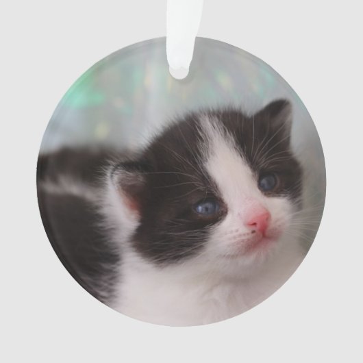 Tuxedo kitten ornament (voorkant)