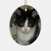 Tuxedo kitten ornament (Rechts)