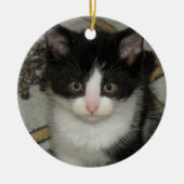 Tuxedo kitten ornament (Voorkant)