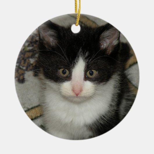 Tuxedo kitten ornament (Voorkant)