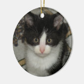 Tuxedo kitten ornament (Links)