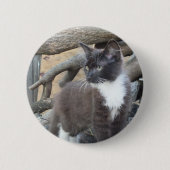Tuxedo Kitten Ronde Button 5,7 Cm (Voorkant)