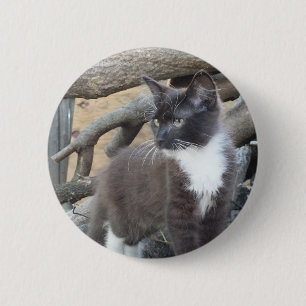 Tuxedo Kitten Ronde Button 5,7 Cm