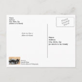 Tuxedo Kitten Sliertjes en Lichtjes Beterschap Briefkaart (Achterkant)