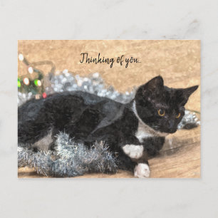 Tuxedo Kitten Tinsel en licht denken aan jou Briefkaart