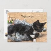 Tuxedo Kitten Tinsel en licht denken aan jou Briefkaart (Voorkant / Achterkant)
