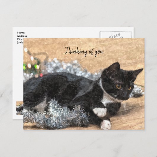 Tuxedo Kitten Tinsel en licht denken aan jou Briefkaart (Voorkant / Achterkant)