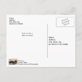 Tuxedo Kitten Tinsel en Lichten Briefkaart (Achterkant)