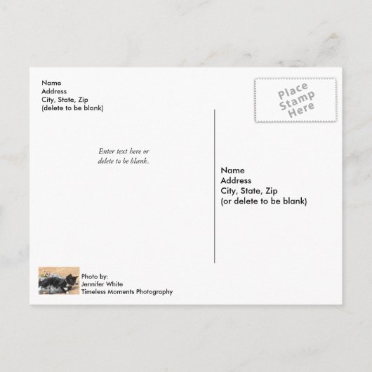 Tuxedo Kitten Tinsel en Lichten Briefkaart (Achterkant)