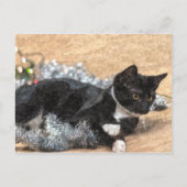 Tuxedo Kitten Tinsel en Lichten Briefkaart (Voorkant)