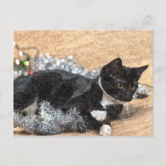 Tuxedo Kitten Tinsel en Lichten Briefkaart (Voorkant)