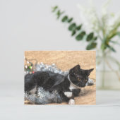Tuxedo Kitten Tinsel en Lichten Briefkaart (Staand voorkant)
