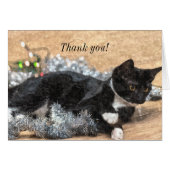 Tuxedo Kitten Tinsel en Lichten Hartelijk dank (Voorkant Horizontaal)