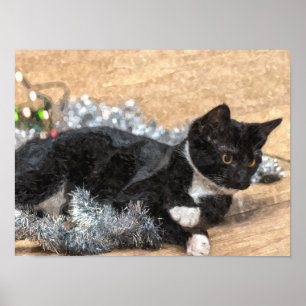 Tuxedo Kitten Tinsel en Lichten Painterly Poster