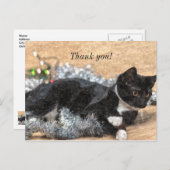 Tuxedo Kitten Tinsel en Lichtjes Bedankt Kaartje Briefkaart (Voorkant / Achterkant)