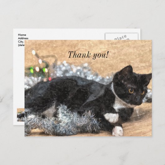 Tuxedo Kitten Tinsel en Lichtjes Bedankt Kaartje Briefkaart (Voorkant / Achterkant)