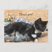 Tuxedo Kitten Tinsel en Lichtjes Bedankt Kaartje Briefkaart (Voorkant)
