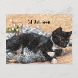 Tuxedo Kitten Tinsel en Lichtjes Beterschap Briefkaart