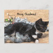 Tuxedo Kitten Tinsel en Lights kerstpostard Briefkaart (Voorkant)
