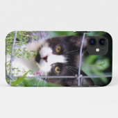 Tuxedo Kitten Xena in de Garden iPhone 4 Case (Achterkant (horizontaal))