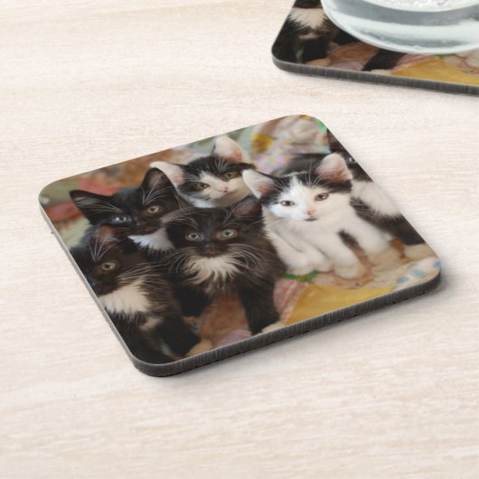 Tuxedo Kittens Drankjes Onderzetter (Linkerzijde)