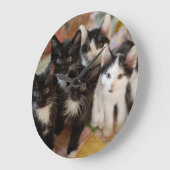 Tuxedo Kittens Grote Klok (Hoek)