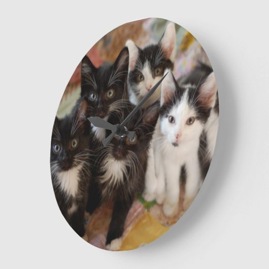 Tuxedo Kittens Grote Klok (Hoek)