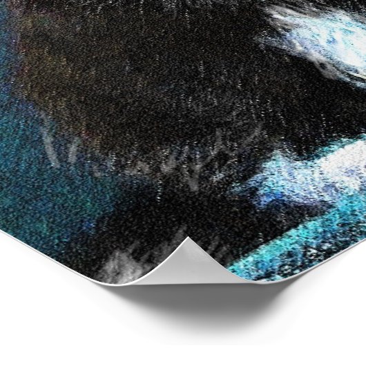 tuxedo kittens poster (Hoek)