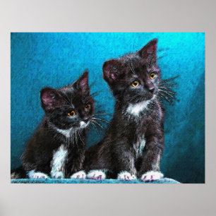 tuxedo kittens poster
