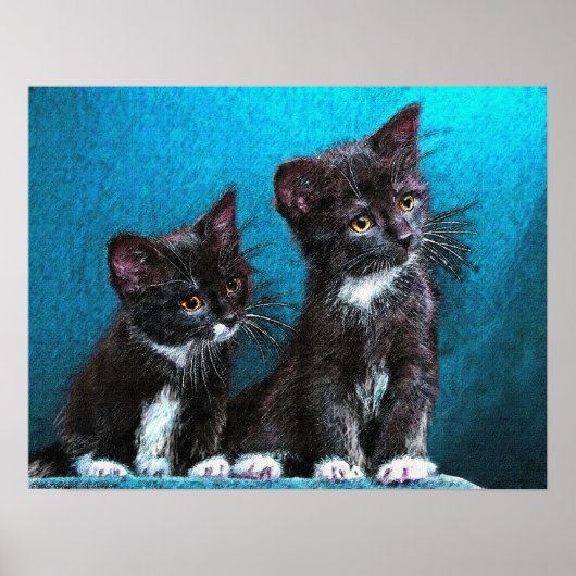 tuxedo kittens poster (Voorkant)