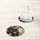 Tuxedo Kittens Ronde Kartonnen Onderzetter (Insitu)