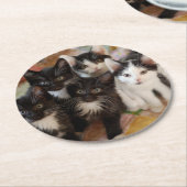Tuxedo Kittens Ronde Kartonnen Onderzetter (Gebogen)