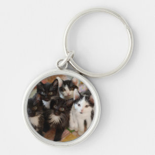 Tuxedo Kittens Sleutelhanger